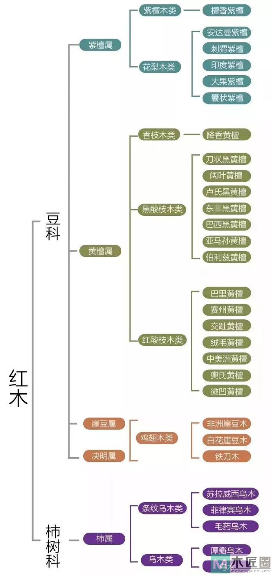 什么是小叶紫檀？小叶紫檀的特征是怎样的？